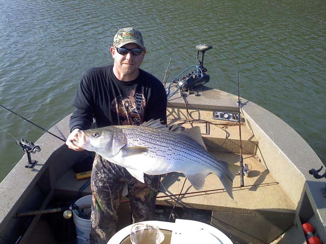 Big Fish