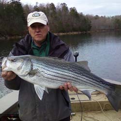 Latest Big Fish 2